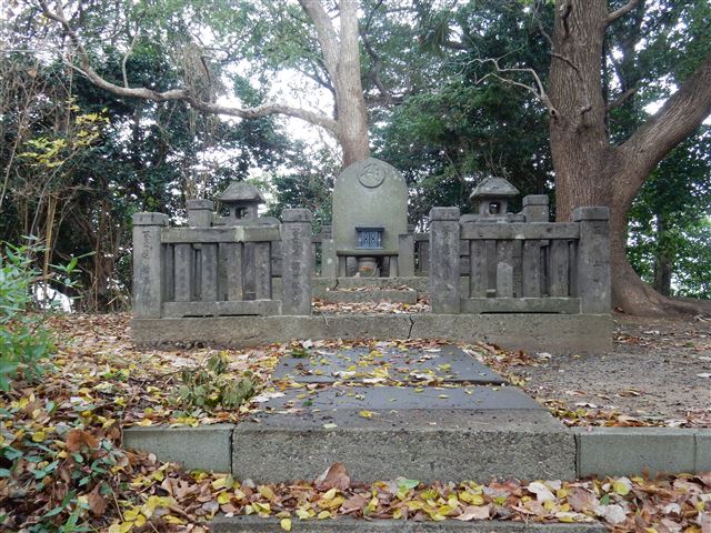 画像の説明