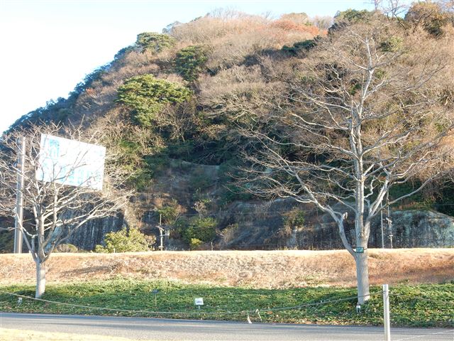 画像の説明