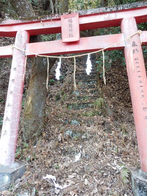 画像の説明