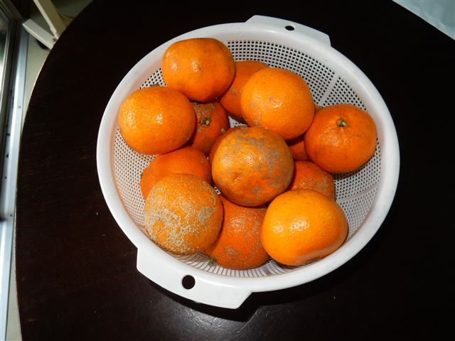 画像の説明