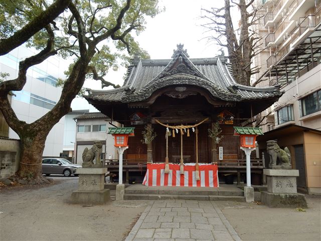 画像の説明