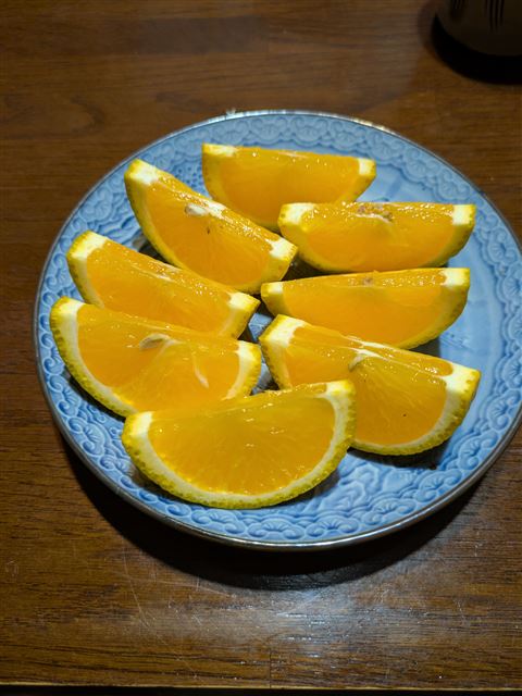 画像の説明