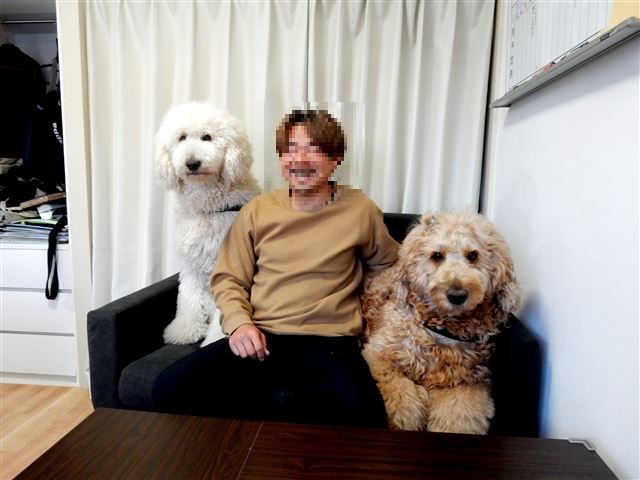 画像の説明