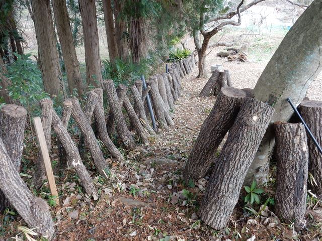 画像の説明