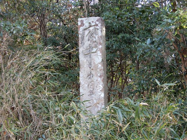 画像の説明