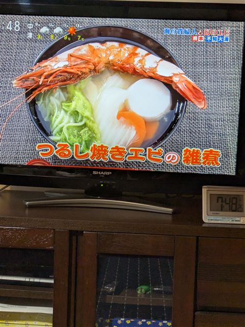 画像の説明