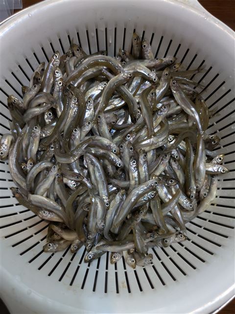 画像の説明