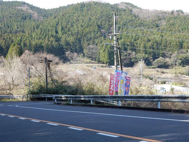 画像の説明