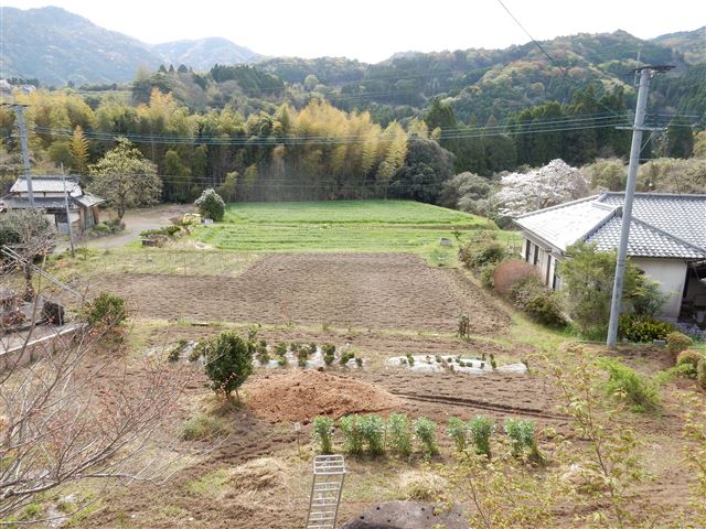 画像の説明