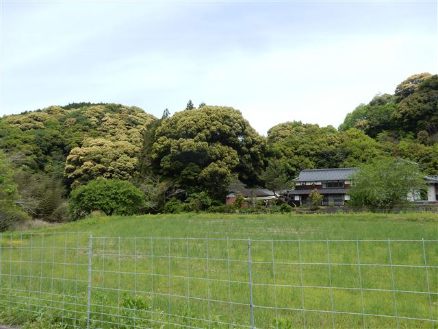 画像の説明