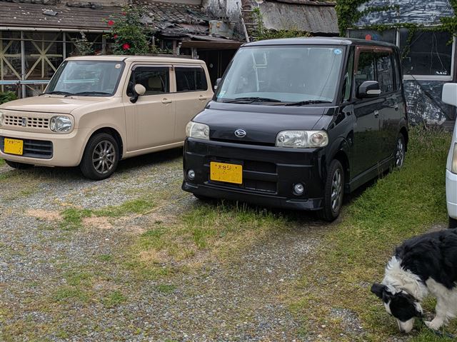 画像の説明