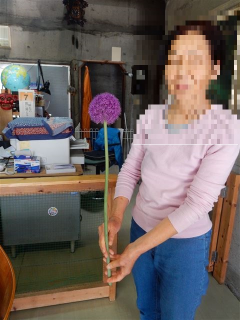画像の説明