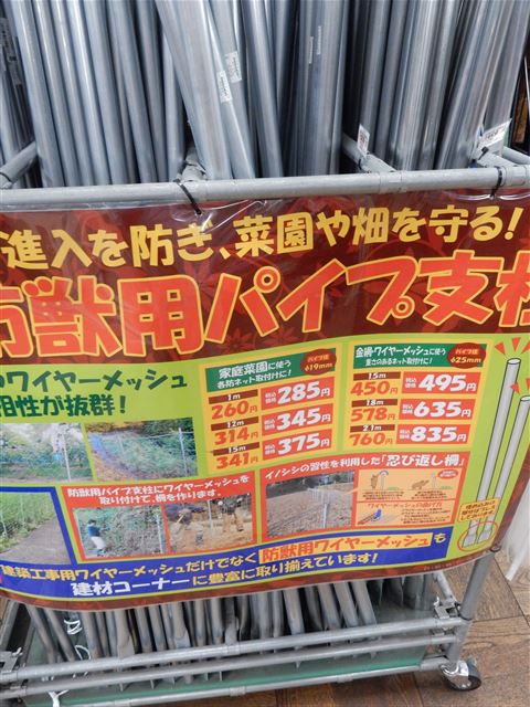 画像の説明