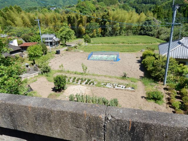 画像の説明