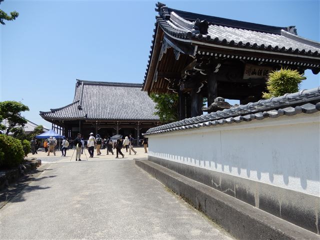 画像の説明