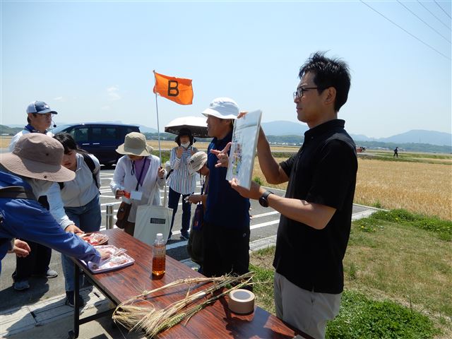 画像の説明
