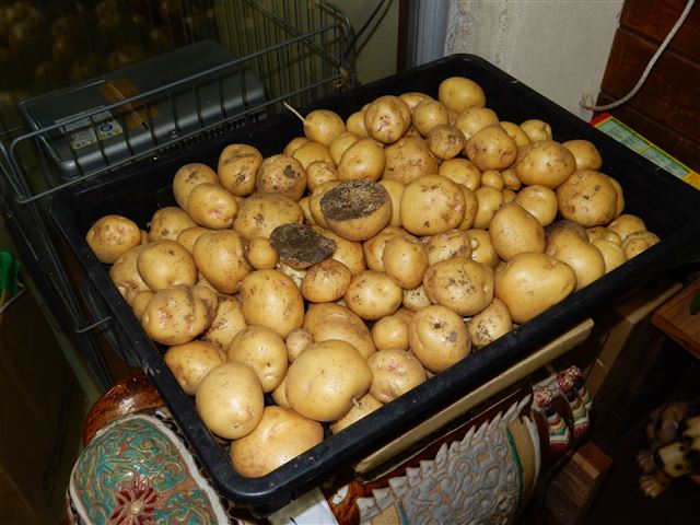 画像の説明