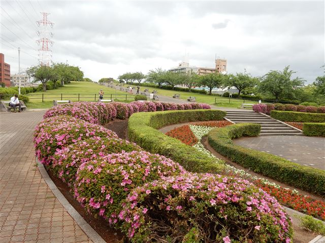 画像の説明