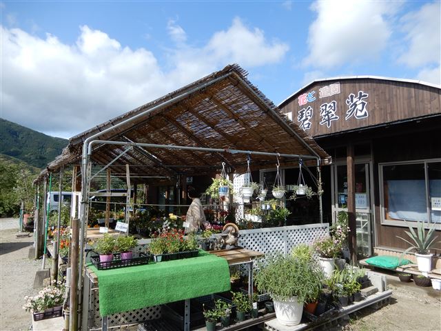 画像の説明