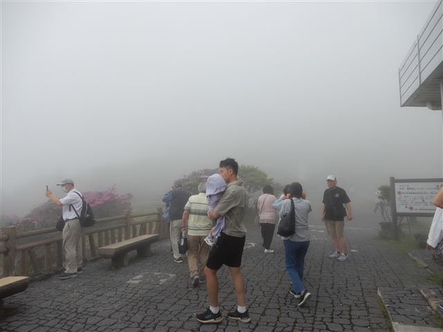 画像の説明