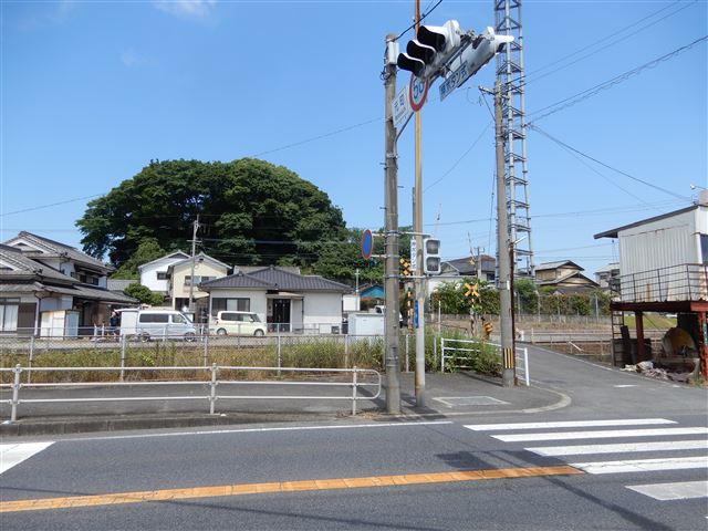 画像の説明