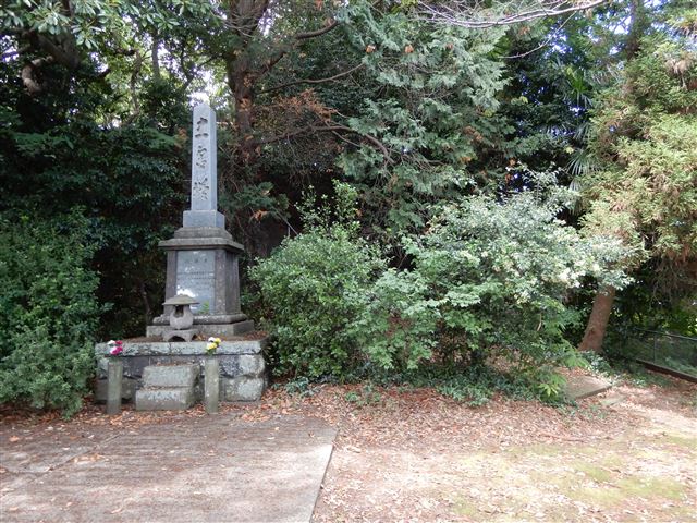 画像の説明