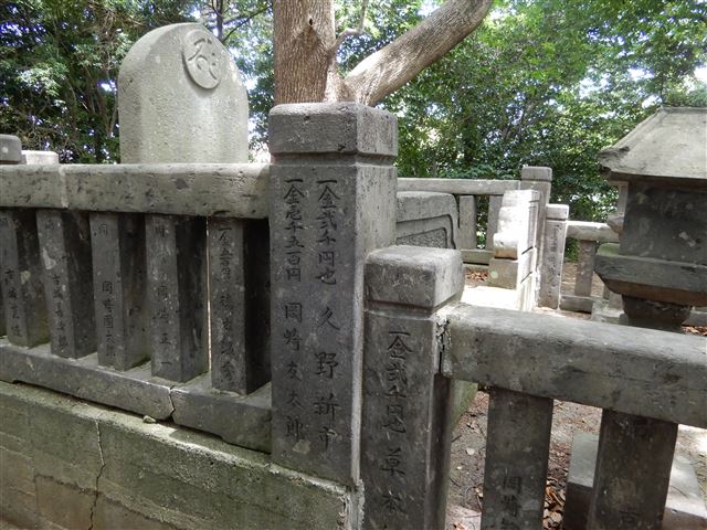 画像の説明