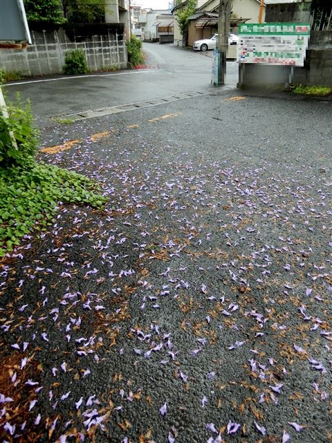 画像の説明
