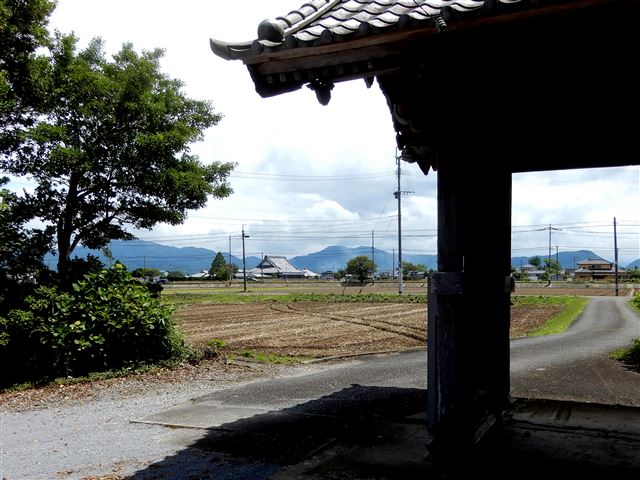 画像の説明