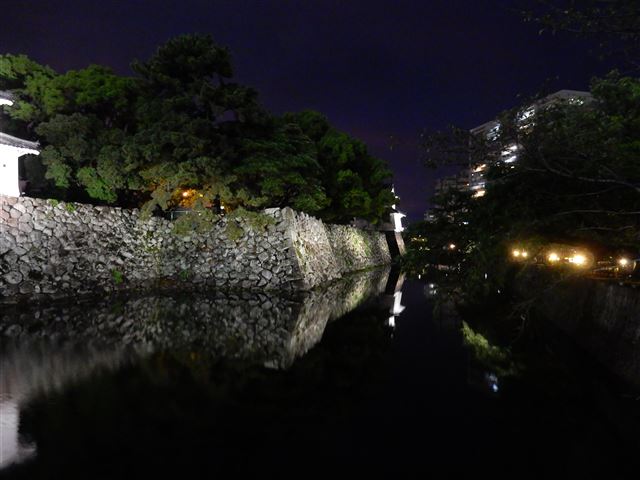 画像の説明
