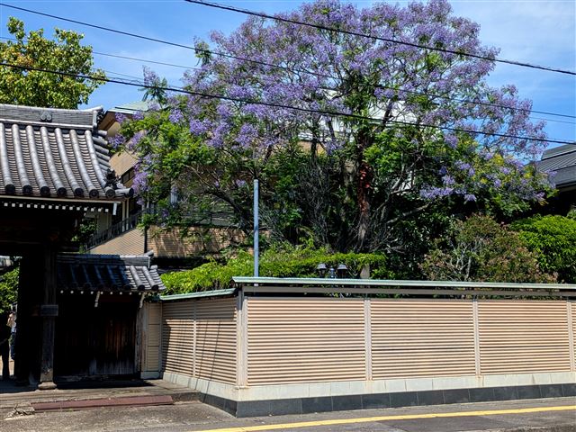 画像の説明