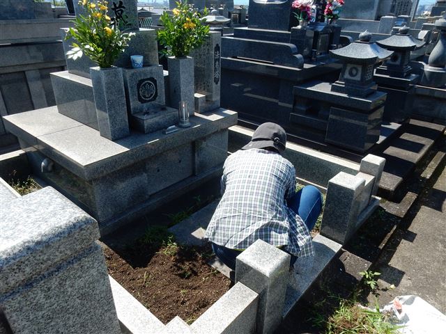 画像の説明