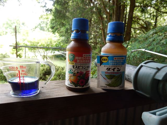 画像の説明