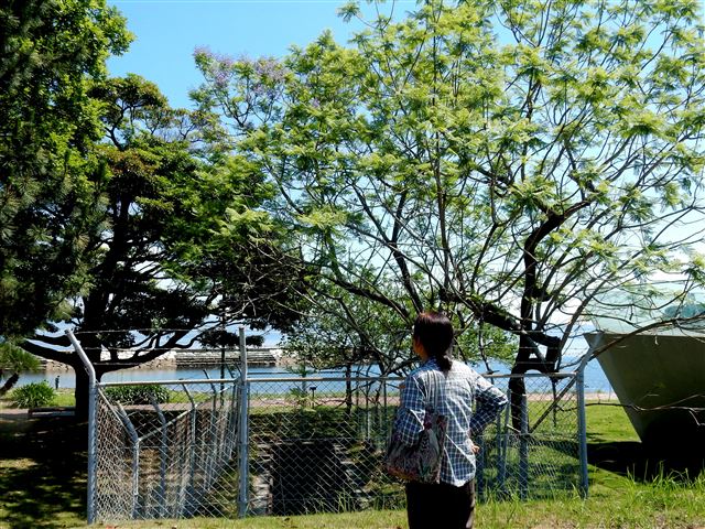 画像の説明