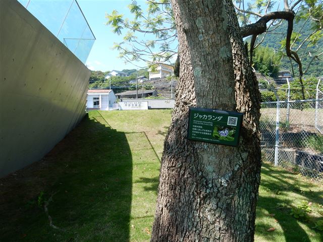 画像の説明