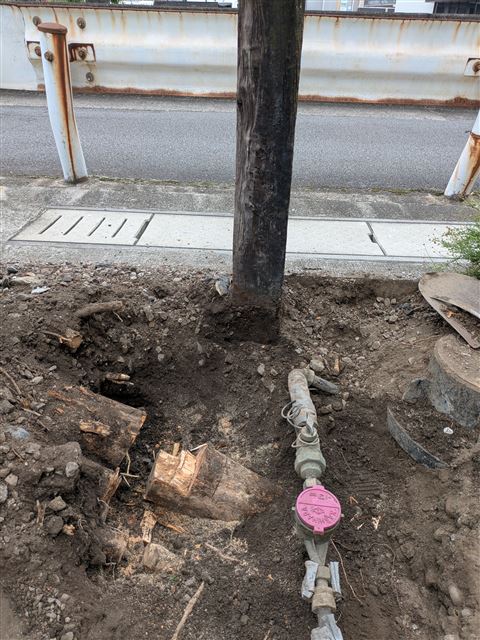 画像の説明