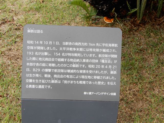 画像の説明