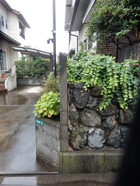 画像の説明