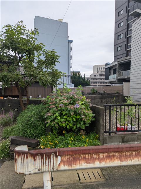 画像の説明