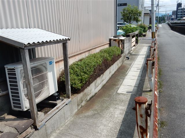 画像の説明