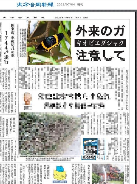 画像の説明