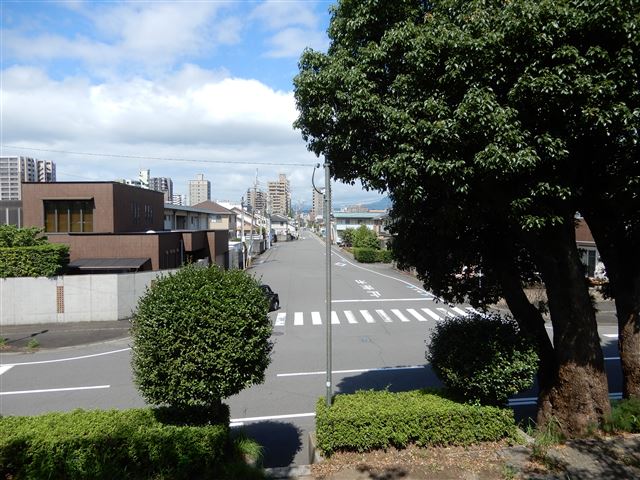 画像の説明 画像の説明