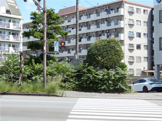 画像の説明 画像の説明