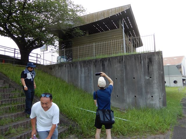 画像の説明