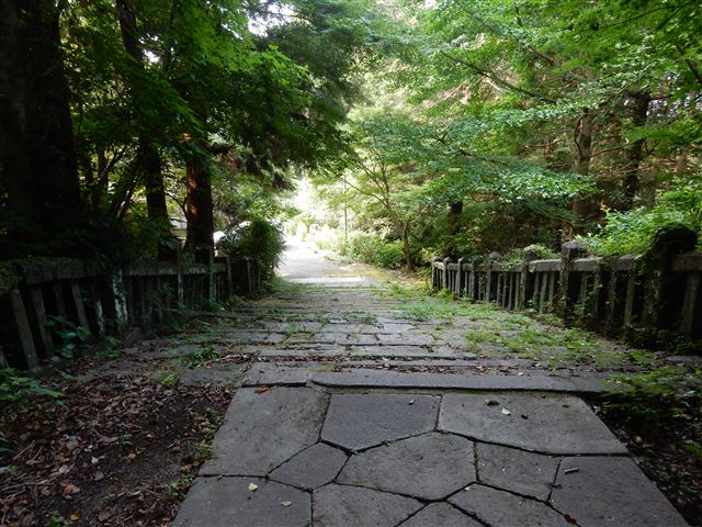 画像の説明