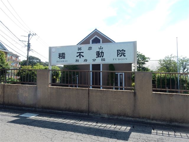 画像の説明