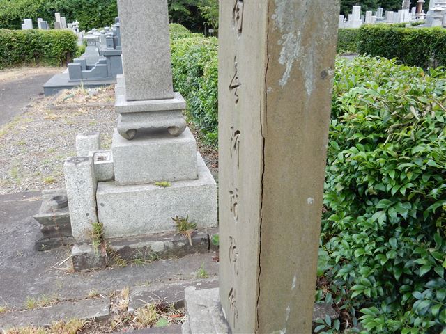 画像の説明