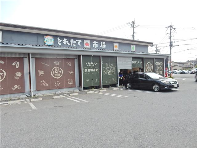 画像の説明