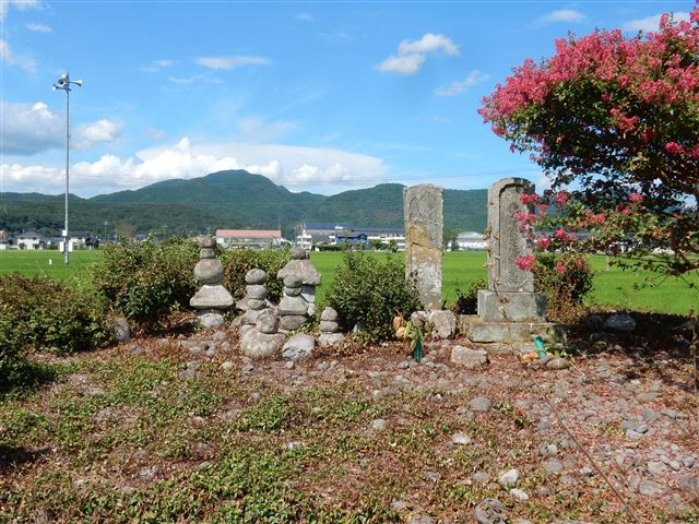 画像の説明