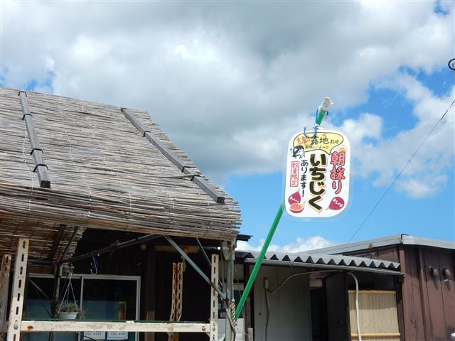 画像の説明